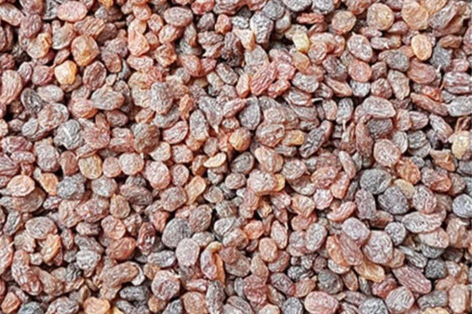 Raisins Palawi 1